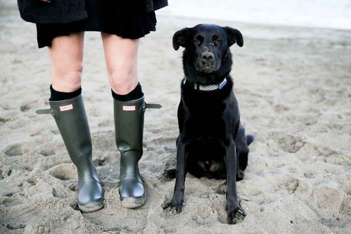 Hunter Boots and dog
