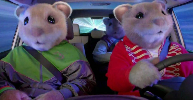 Kia Soul Hamsters