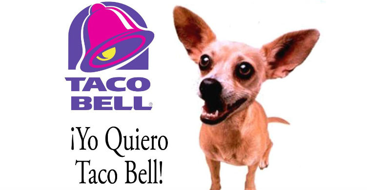 Taco Bell Chihuahua